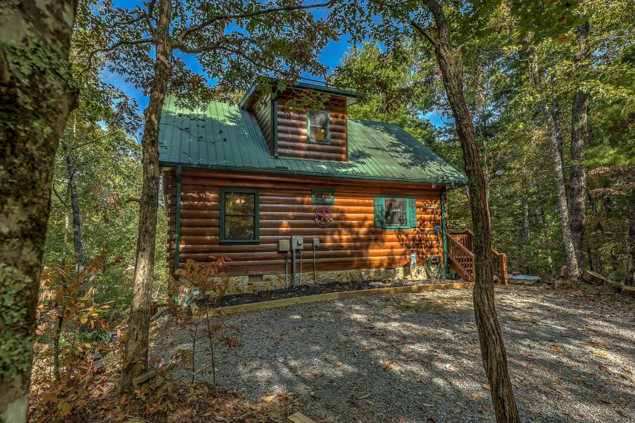 Golden Eagle Ga Cabin - Hot Tub, Firepit & Fast Wifi Blue Ridge Exterior foto